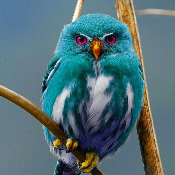 Kirk's Folly Crystal Necklace Set - Picture 16 of 16